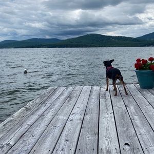 Meet your Posher, VF!